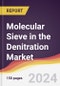 Molecular Sieve in the Denitration Market Report: Trends, Forecast and Competitive Analysis to 2031 - Product Image