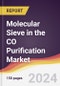 Molecular Sieve in the CO Purification Market Report: Trends, Forecast and Competitive Analysis to 2031 - Product Thumbnail Image