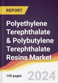 Polyethylene Terephthalate (PET) & Polybutylene Terephthalate (PBT) Resins Market Report: Trends, Forecast and Competitive Analysis to 2030- Product Image