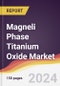 Magneli Phase Titanium Oxide Market Report: Trends, Forecast and Competitive Analysis to 2031 - Product Thumbnail Image