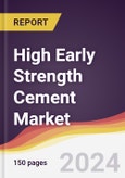 High Early Strength Cement Market Report: Trends, Forecast and Competitive Analysis to 2031- Product Image