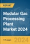 Modular Gas Processing Plant Market 2024 - Product Image