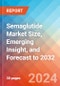 Semaglutide Market Size, Emerging Insight, and Forecast to 2032 - Product Thumbnail Image