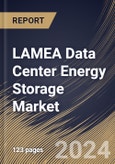 LAMEA Data Center Energy Storage Market Size, Share & Trends Analysis Report By Type (Tier 3, Tier 4, Tier 2, and Tier 1), By Application, By Country and Growth Forecast, 2024 - 2031- Product Image
