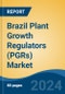 Brazil Plant Growth Regulators (PGRs) Market, By Region, Competition Forecast & Opportunities, 2019-2029F - Product Thumbnail Image