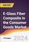 E-Glass Fiber Composite in the Consumer Goods Market Report: Trends, Forecast and Competitive Analysis to 2030 - Product Image