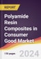Polyamide Resin Composites in Consumer Good Market Report: Trends, Forecast and Competitive Analysis to 2030 - Product Image