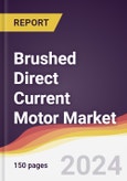 Brushed Direct Current (DC) Motor Market Report: Trends, Forecast and Competitive Analysis to 2030- Product Image