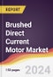 Brushed Direct Current (DC) Motor Market Report: Trends, Forecast and Competitive Analysis to 2030 - Product Image