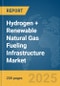 Hydrogen (H2) + Renewable Natural Gas (RNG) Fueling Infrastructure Market Report 2025 - Product Thumbnail Image