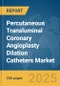 Percutaneous Transluminal Coronary Angioplasty (PTCA) Dilation Catheters Market Report 2025 - Product Thumbnail Image
