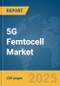 5G Femtocell Market Report 2025 - Product Image