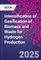 Intensification of Gasification of Biomass and Waste for Hydrogen Production - Product Thumbnail Image