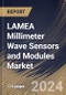 LAMEA Millimeter Wave Sensors and Modules Market Size, Share & Trends Analysis Report By Frequency Band, By Application, By Country and Growth Forecast, 2024 - 2031 - Product Thumbnail Image