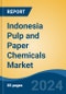 Indonesia Pulp and Paper Chemicals Market, By Region, Competition, Forecast and Opportunities, 2019-2029F - Product Thumbnail Image
