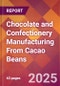 Chocolate and Confectionery Manufacturing From Cacao Beans - 2025 U.S. Market Research Report with Updated Tariff & Recession Risk Analysis and Forecasts - Product Thumbnail Image