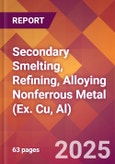 Secondary Smelting, Refining, Alloying Nonferrous Metal (Ex. Cu, Al) - 2025 U.S. Market Research Report with Updated Tariff & Recession Risk Analysis and Forecasts- Product Image