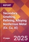 Secondary Smelting, Refining, Alloying Nonferrous Metal (Ex. Cu, Al) - 2025 U.S. Market Research Report with Updated Tariff & Recession Risk Analysis and Forecasts - Product Thumbnail Image