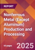 Nonferrous Metal (Except Aluminum) Production and Processing - 2025 U.S. Market Research Report with Updated Tariff & Recession Risk Analysis and Forecasts- Product Image