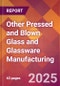 Other Pressed and Blown Glass and Glassware Manufacturing - 2025 U.S. Market Research Report with Updated Tariff & Recession Risk Analysis and Forecasts - Product Thumbnail Image