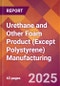 Urethane and Other Foam Product (Except Polystyrene) Manufacturing - 2025 U.S. Market Research Report with Updated Tariff & Recession Risk Analysis and Forecasts - Product Thumbnail Image
