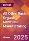 All Other Basic Organic Chemical Manufacturing - 2025 U.S. Market Research Report with Updated Tariff & Recession Risk Analysis and Forecasts - Product Thumbnail Image