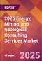 2025 Energy, Mining, and Geological Consulting Services Global Market Size & Growth Report with Updated Recession Risk Forecasts by Country - Product Image