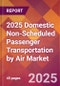 2025 Domestic Non-Scheduled Passenger Transportation By Air Global Market Size & Growth Report with Updated Recession Risk Forecasts by Country - Product Thumbnail Image