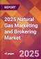 2025 Natural Gas Marketing and Brokering Global Market Size & Growth Report with Updated Recession Risk Forecasts by Country - Product Thumbnail Image