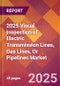 2025 Visual Inspection of Electric Transmission Lines, Gas Lines, Or Pipelines Global Market Size & Growth Report with Updated Recession Risk Forecasts by Country - Product Image