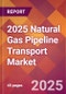 2025 Natural Gas Pipeline Transport Global Market Size & Growth Report with Updated Recession Risk Forecasts by Country - Product Image