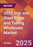 2025 Iron and Steel Pipes and Tubing Wholesale Global Market Size & Growth Report with Updated Recession Risk Forecasts by Country- Product Image