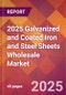 2025 Galvanized and Coated Iron and Steel Sheets Wholesale Global Market Size & Growth Report with Updated Recession Risk Forecasts by Country - Product Thumbnail Image