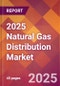 2025 Natural Gas Distribution Global Market Size & Growth Report with Updated Recession Risk Forecasts by Country - Product Image