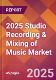 2025 Studio Recording & Mixing of Music Global Market Size & Growth Report with Updated Recession Risk Forecasts by Country- Product Image