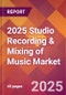 2025 Studio Recording & Mixing of Music Global Market Size & Growth Report with Updated Recession Risk Forecasts by Country - Product Image
