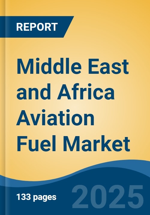 Middle East and Africa Aviation Fuel Market, By Country, Competition ...