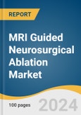 MRI Guided Neurosurgical Ablation Market Size, Share & Trends Analysis Report By Product, By End Use, By Region, And Segment Forecasts, 2025 - 2030- Product Image
