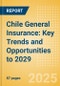 Chile General Insurance: Key Trends and Opportunities to 2029 - Product Thumbnail Image