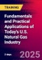 Fundamentals and Practical Applications of Today's U.S. Natural Gas Industry (Houston, United States - July 15-16, 2025) - Product Thumbnail Image