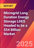 Microgrid Long Duration Energy Storage LDES Headed to be a $54 Billion Market- Product Image