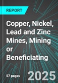 Copper, Nickel, Lead and Zinc Mines, Mining or Beneficiating (U.S.): Analytics, Extensive Financial Benchmarks, Metrics and Revenue Forecasts to 2031- Product Image