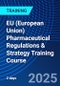 EU (European Union) Pharmaceutical Regulations & Strategy Training Course (October 6-7, 2025) - Product Thumbnail Image