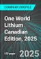 One World Lithium (OWLI:CNQ) Canadian Edition, 2025: Analytics, Extensive Financial Metrics, and Benchmarks Against Averages and Top Companies Within its Industry - Product Thumbnail Image