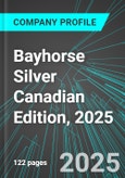 Bayhorse Silver (BHS:TSX) Canadian Edition, 2025: Analytics, Extensive Financial Metrics, and Benchmarks Against Averages and Top Companies Within its Industry- Product Image