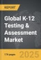 K-12 Testing & Assessment - Global Strategic Business Report - Product Thumbnail Image