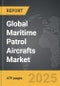 Maritime Patrol Aircrafts - Global Strategic Business Report - Product Thumbnail Image