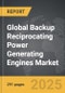 Backup Reciprocating Power Generating Engines - Global Strategic Business Report - Product Thumbnail Image