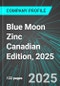Blue Moon Zinc (MOON:TSX) Canadian Edition, 2025: Analytics, Extensive Financial Metrics, and Benchmarks Against Averages and Top Companies Within its Industry - Product Thumbnail Image