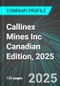Callinex Mines Inc (CLLXF:PINX) Canadian Edition, 2025: Analytics, Extensive Financial Metrics, and Benchmarks Against Averages and Top Companies Within its Industry - Product Thumbnail Image